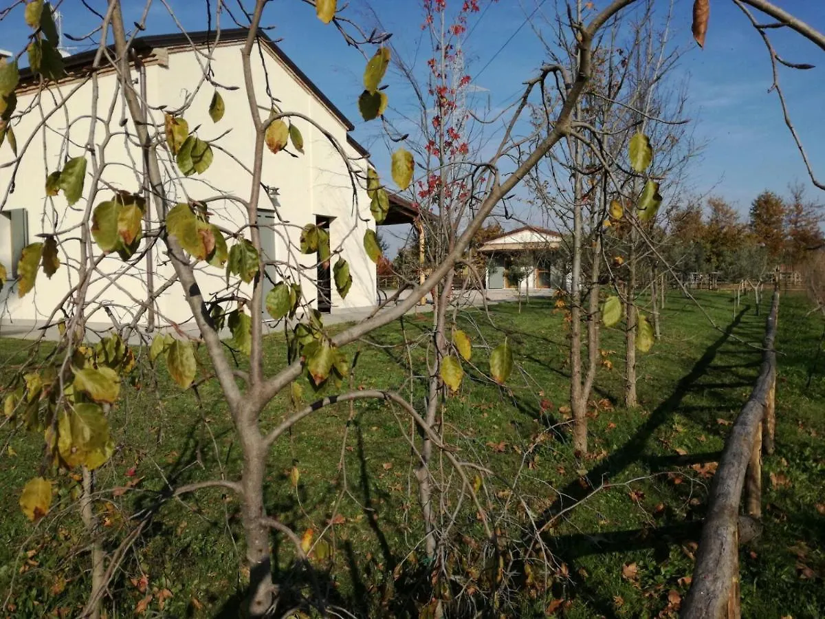 Фермерский дом Agriturismo Corte Benetti