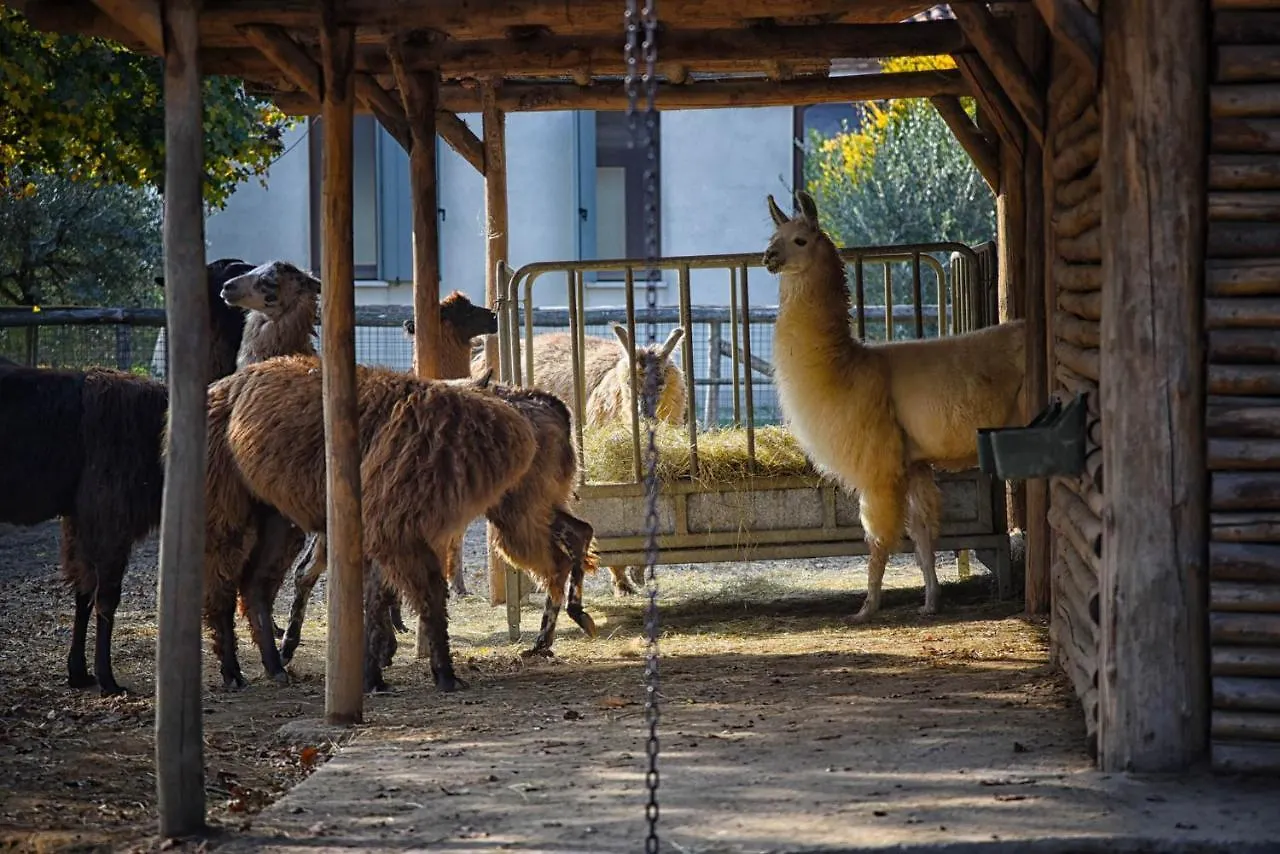 Agriturismo Corte Benetti